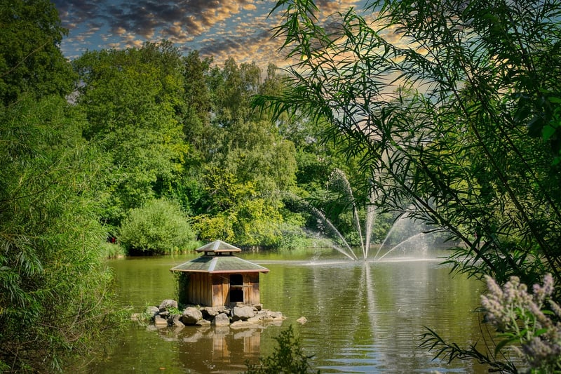 Tranquil water features