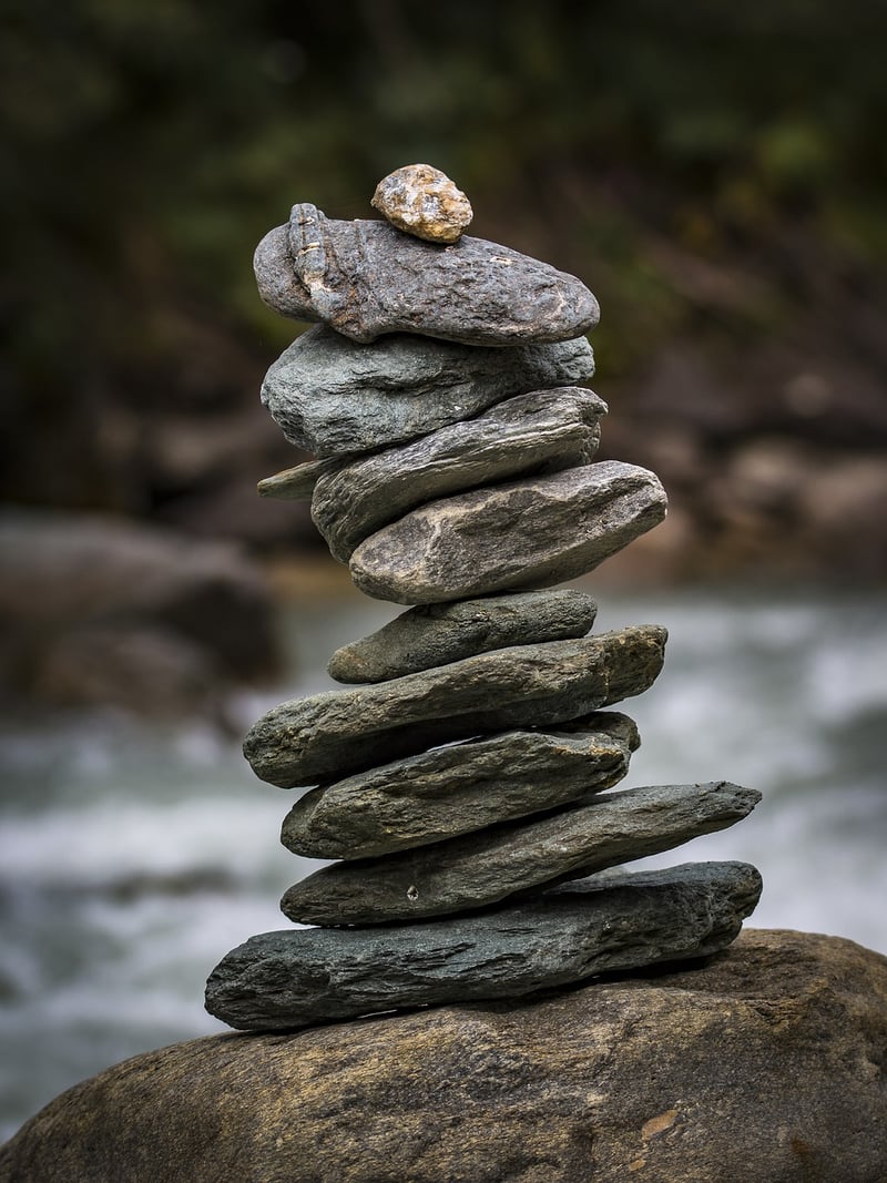 Balance in nature